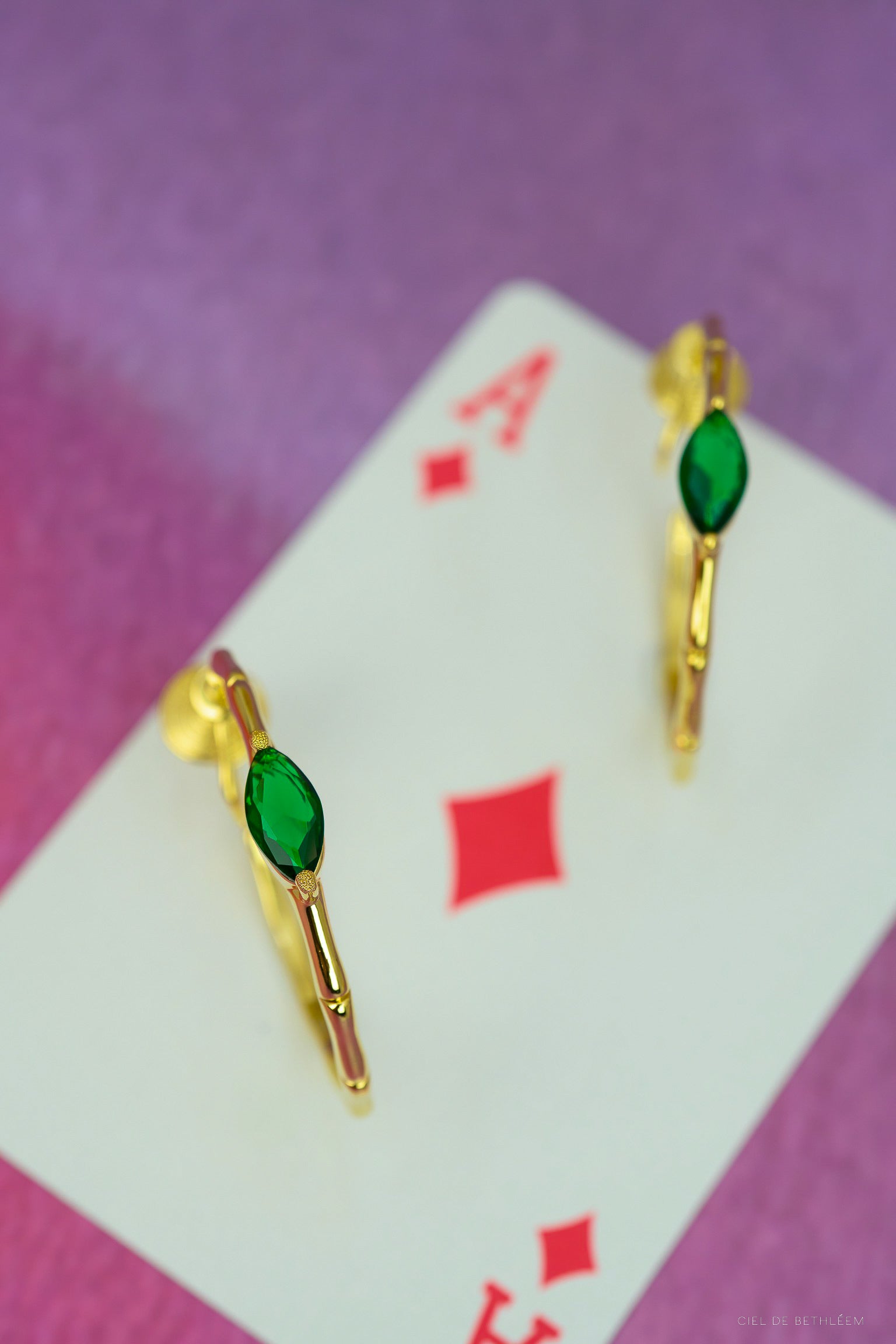 Treasure Hoop Earrings