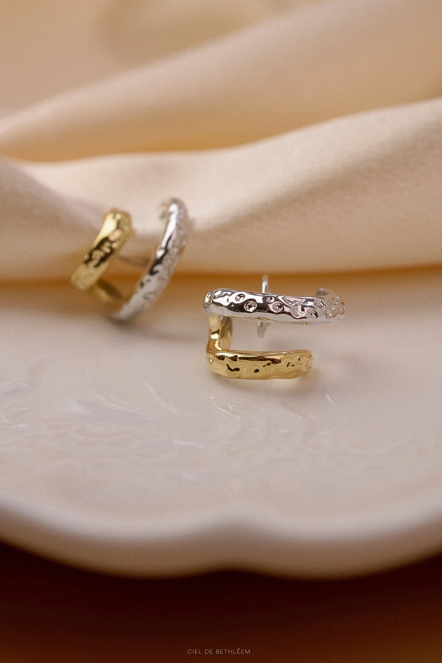 Two Tone Double Hoops