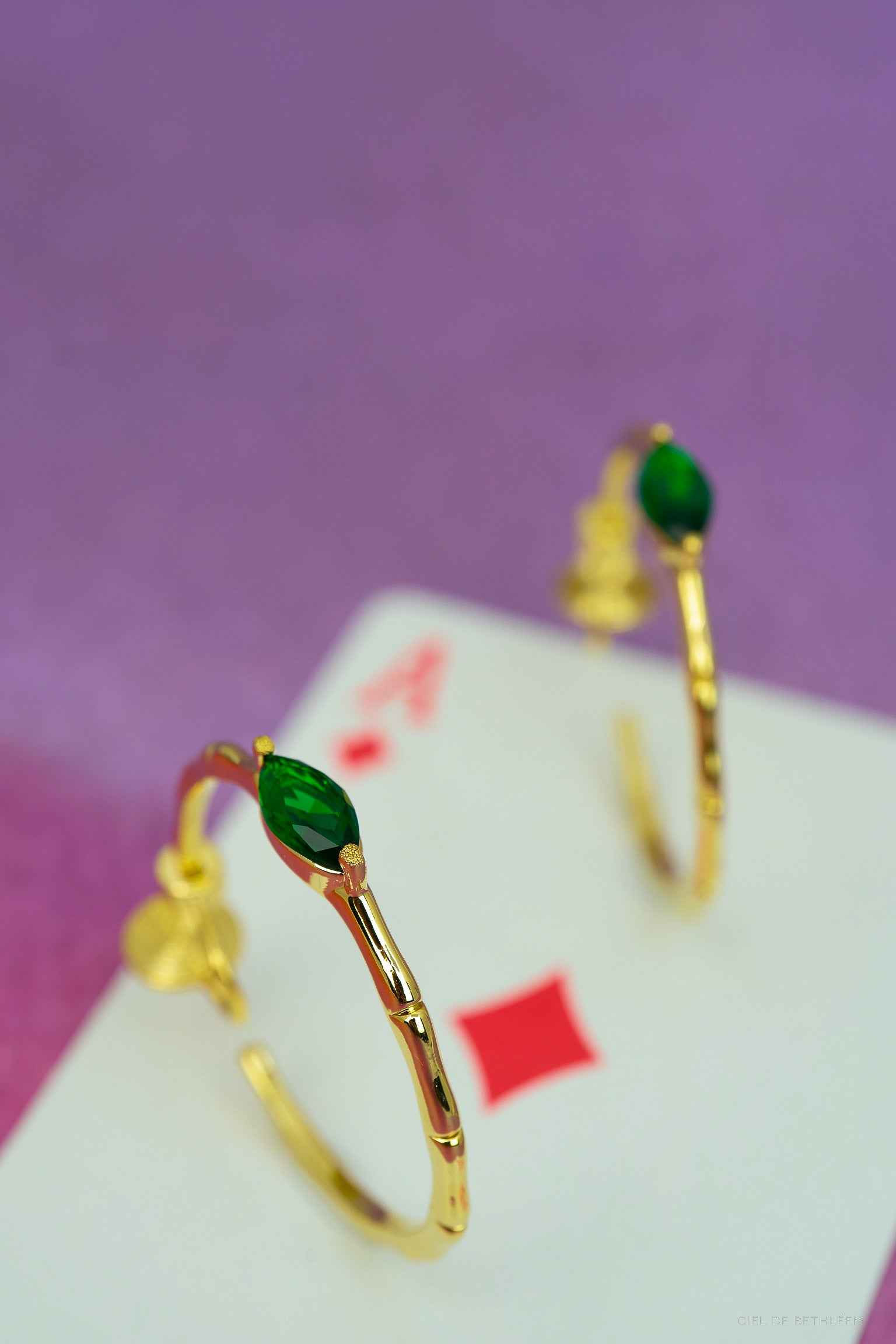 Treasure Hoop Earrings