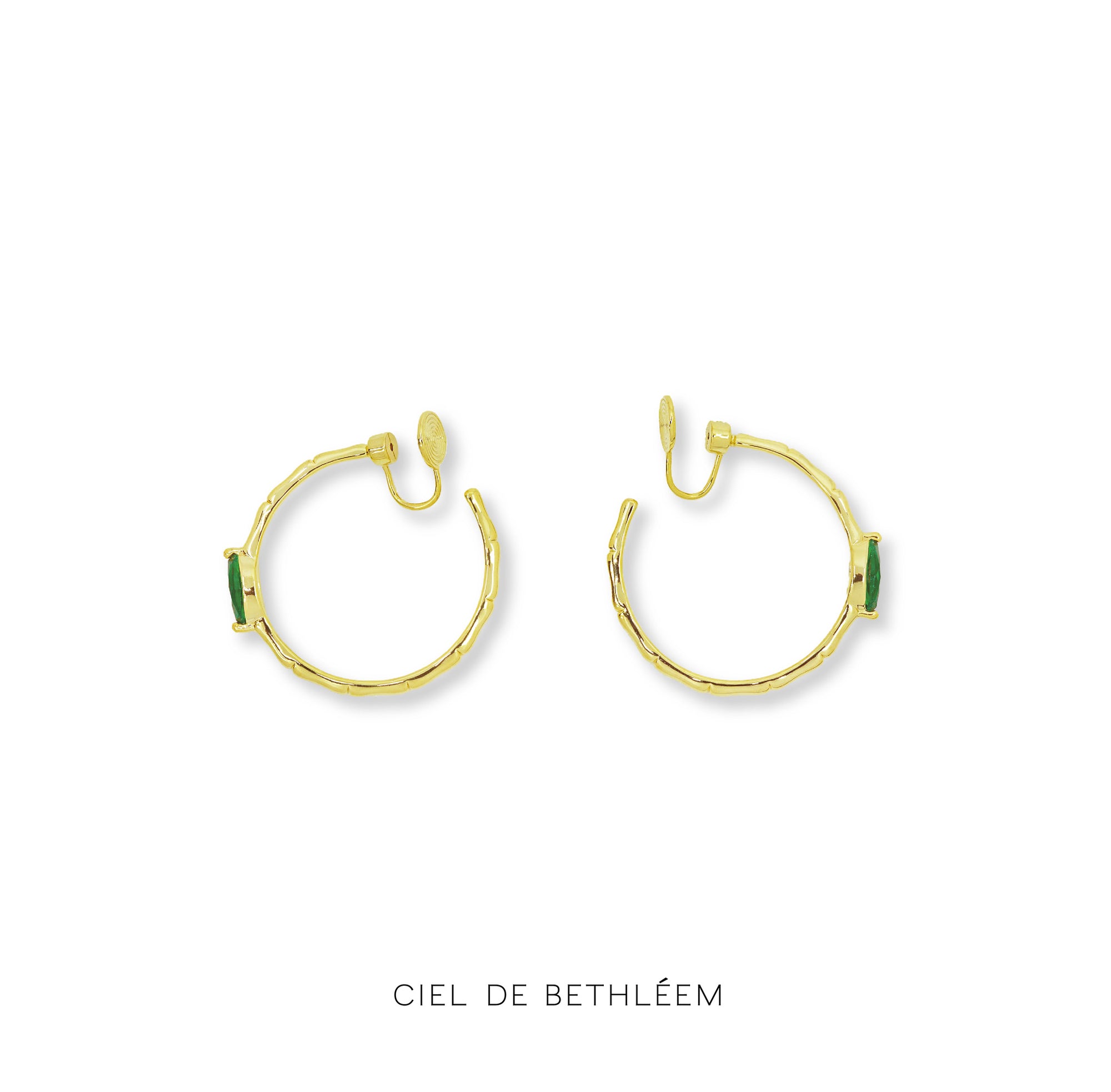 Treasure Hoop Earrings