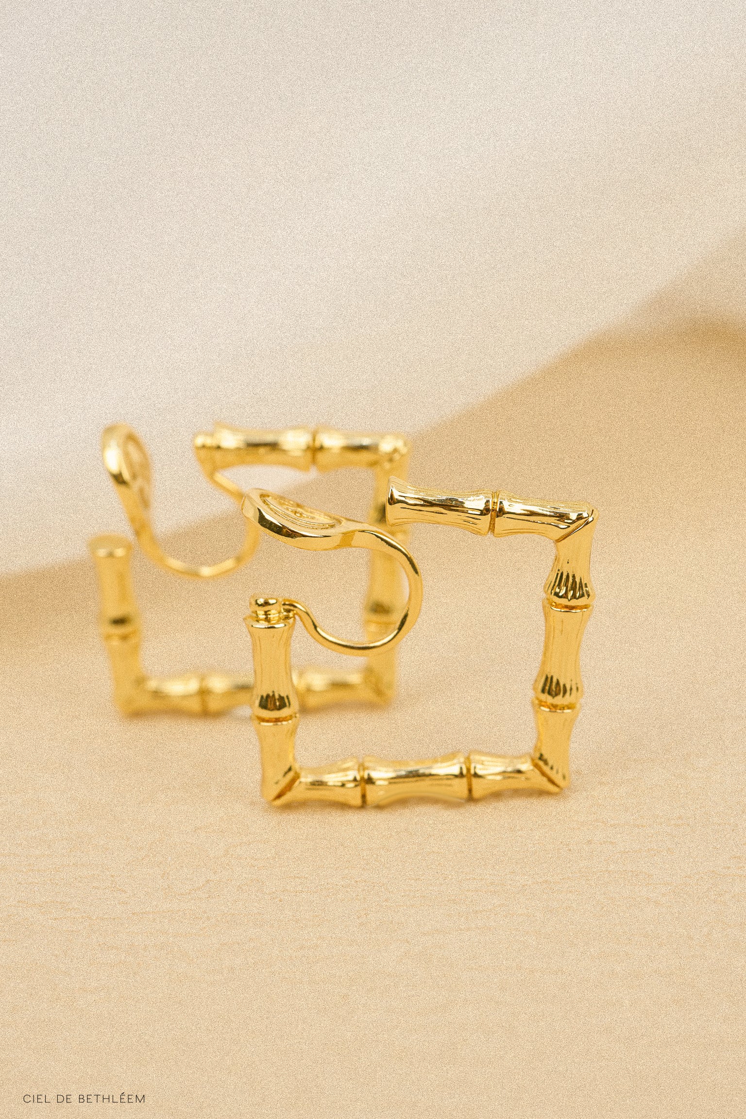 金竹