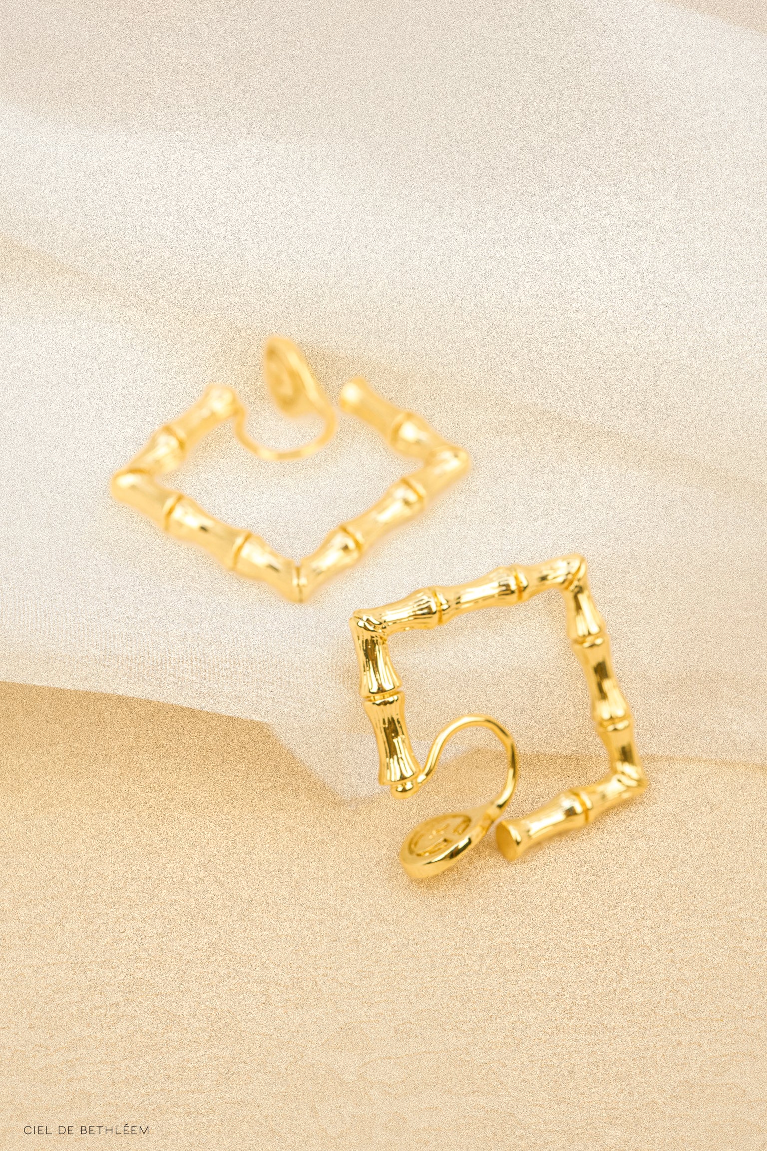 金竹