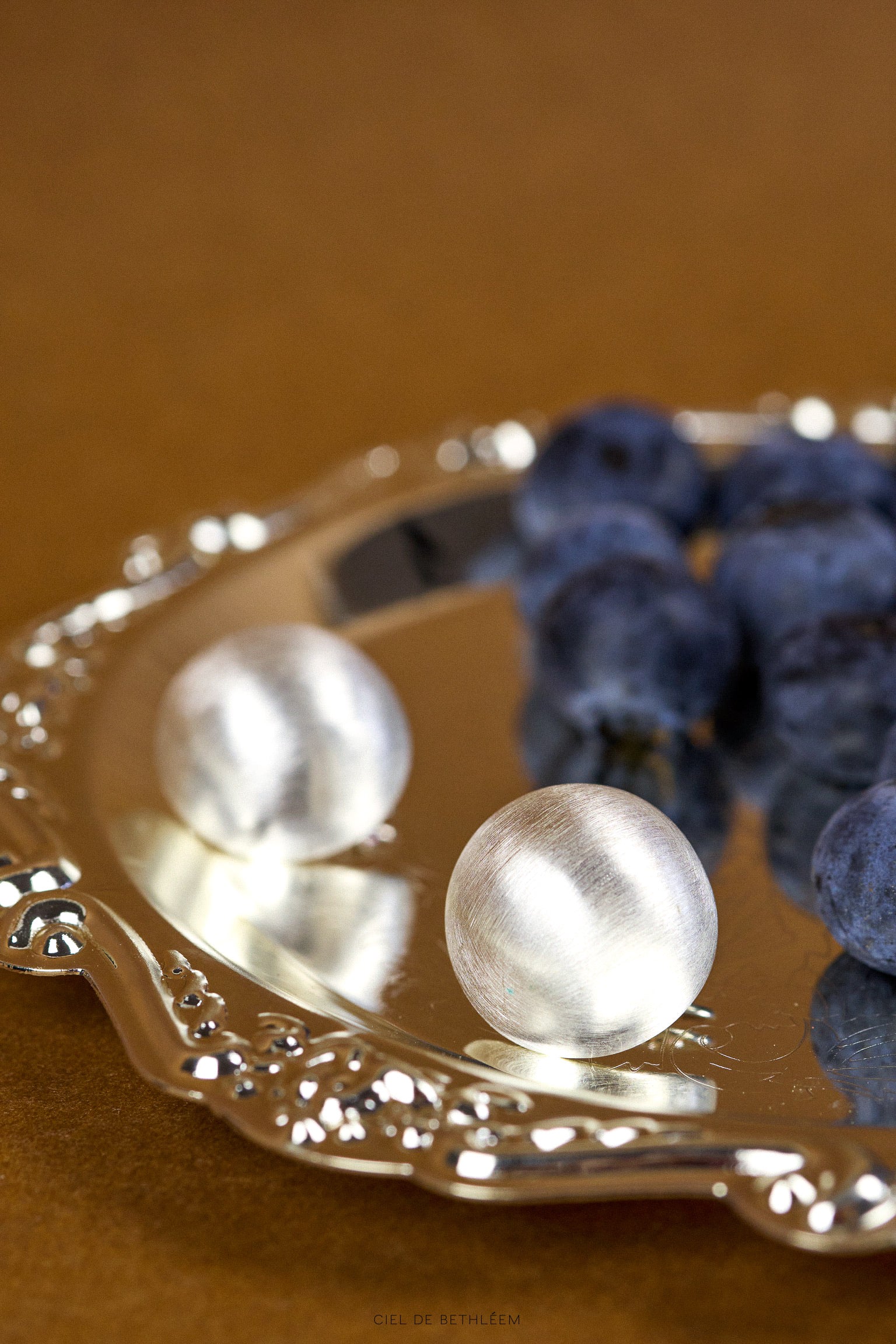 Brushed Dome Earrings