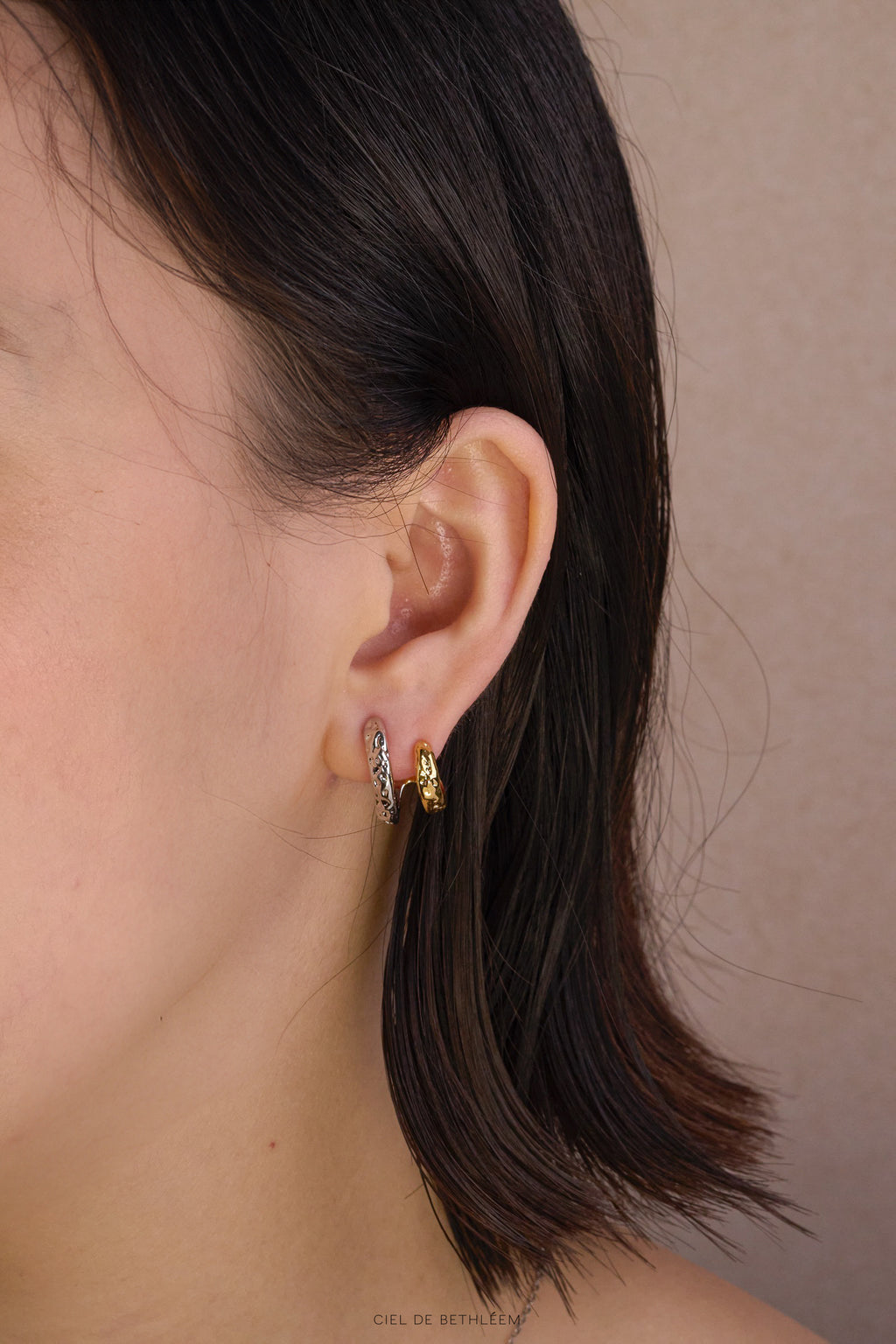 Two Tone Double Hoops