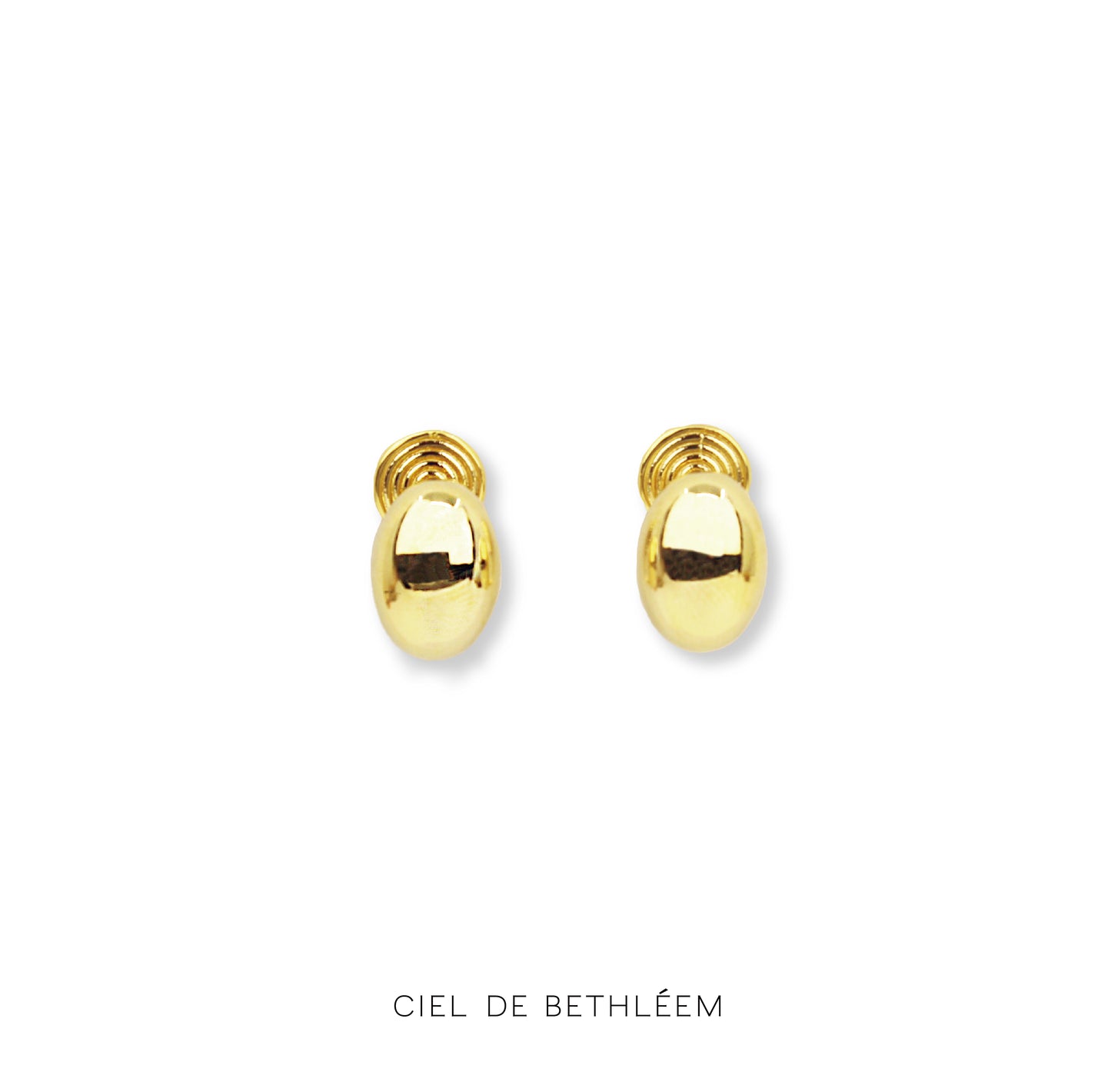 Daily Oval Earrings