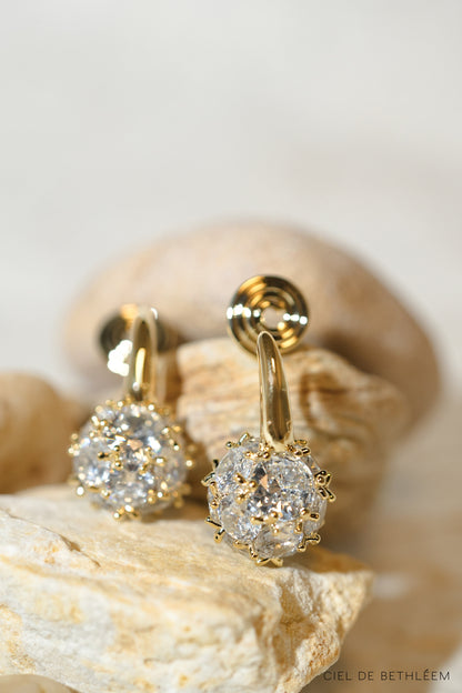 Dazzling Globe Earrings