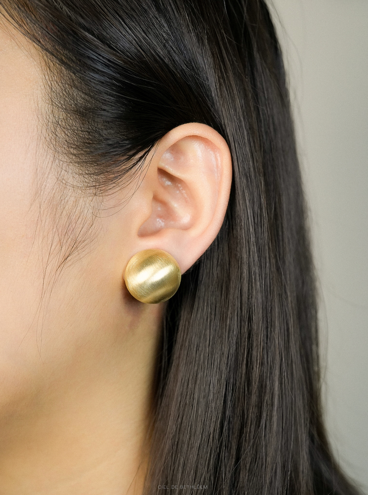 Brushed Dome Earrings