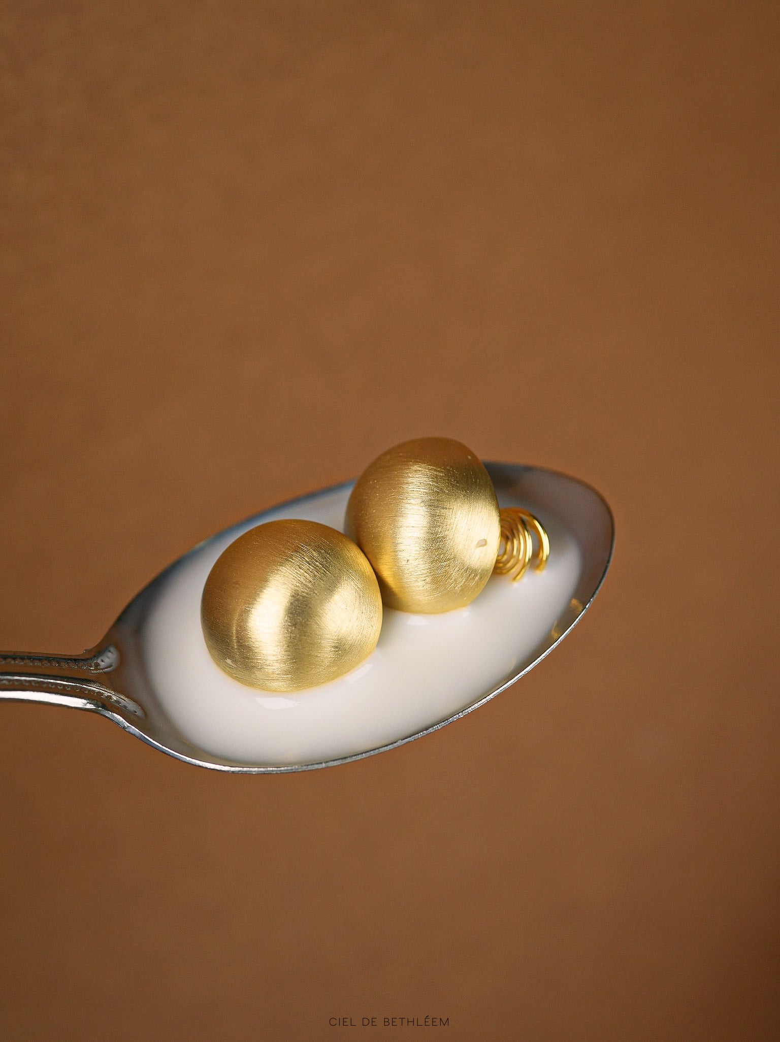 Brushed Dome Earrings