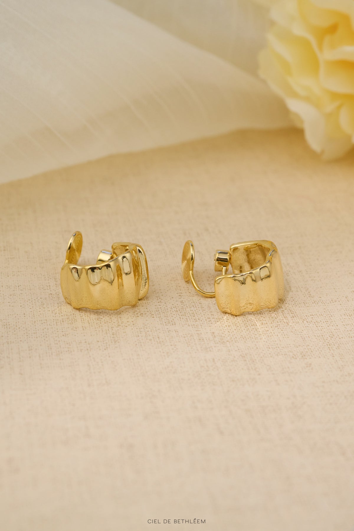 Swing Hoop Earrings