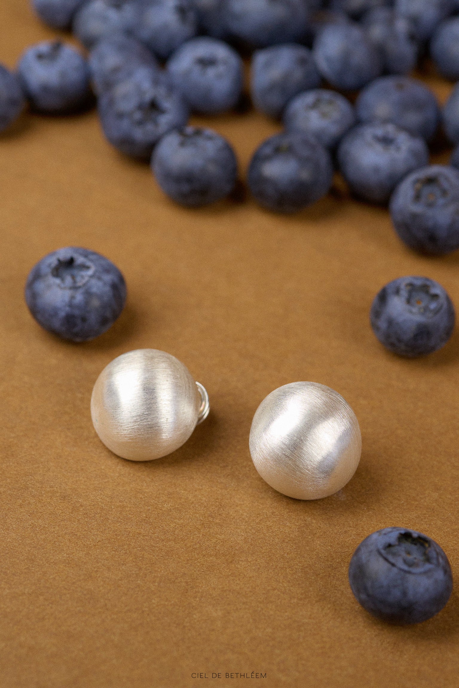 Brushed Dome Earrings