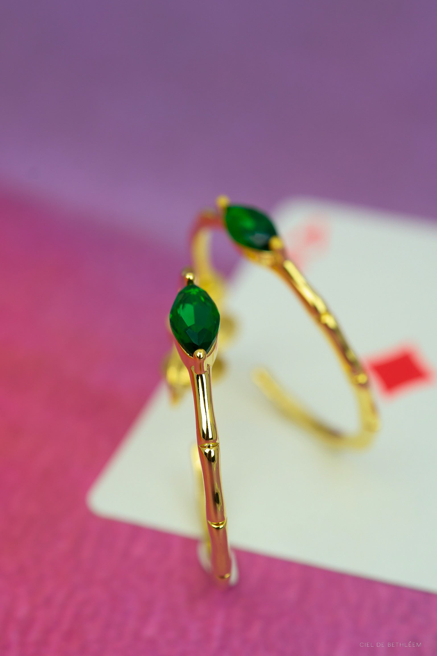 Treasure Hoop Earrings