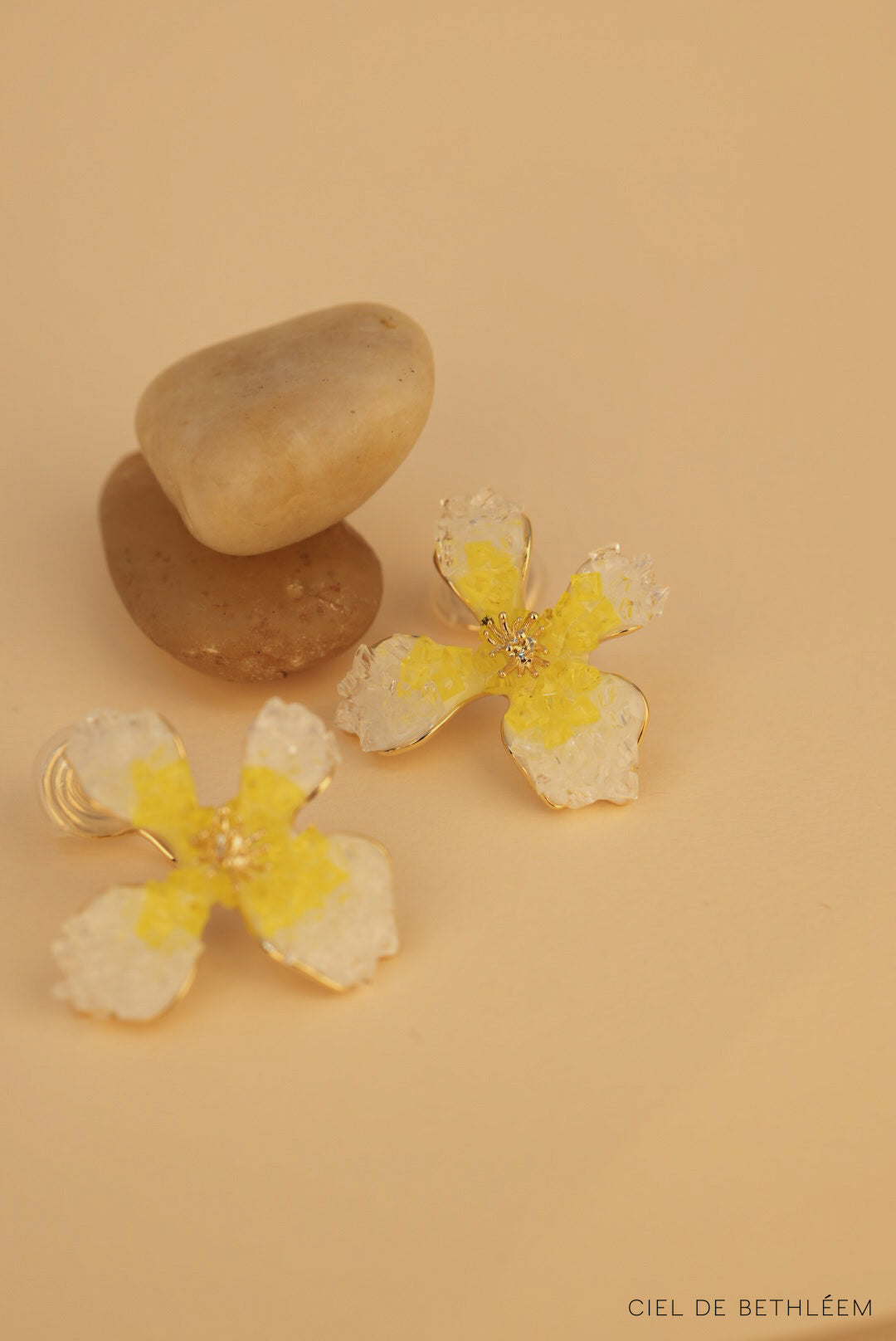 花式花園