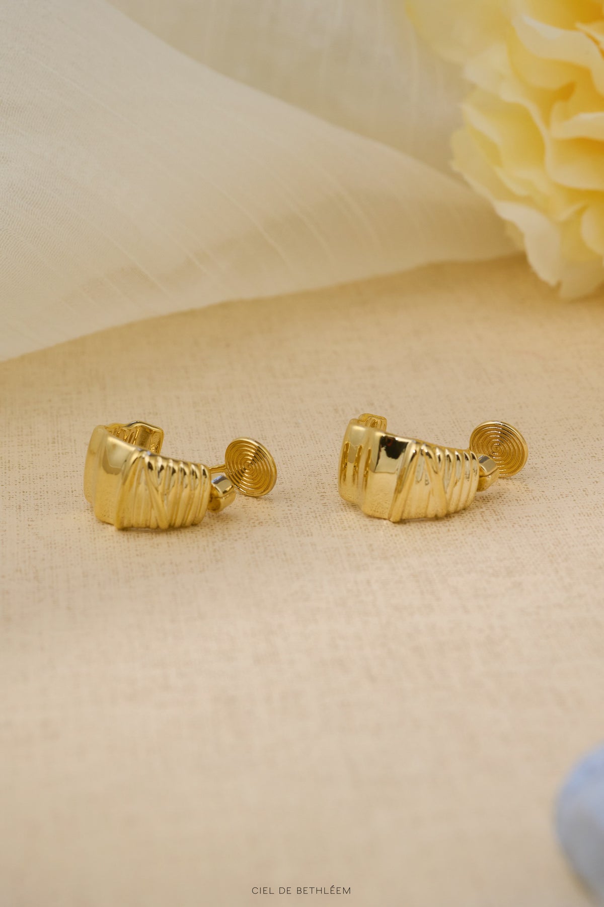 Swing Hoop Earrings