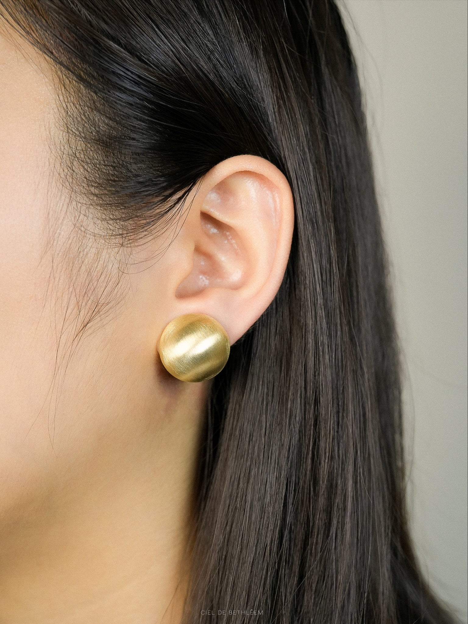 Brushed Dome Earrings