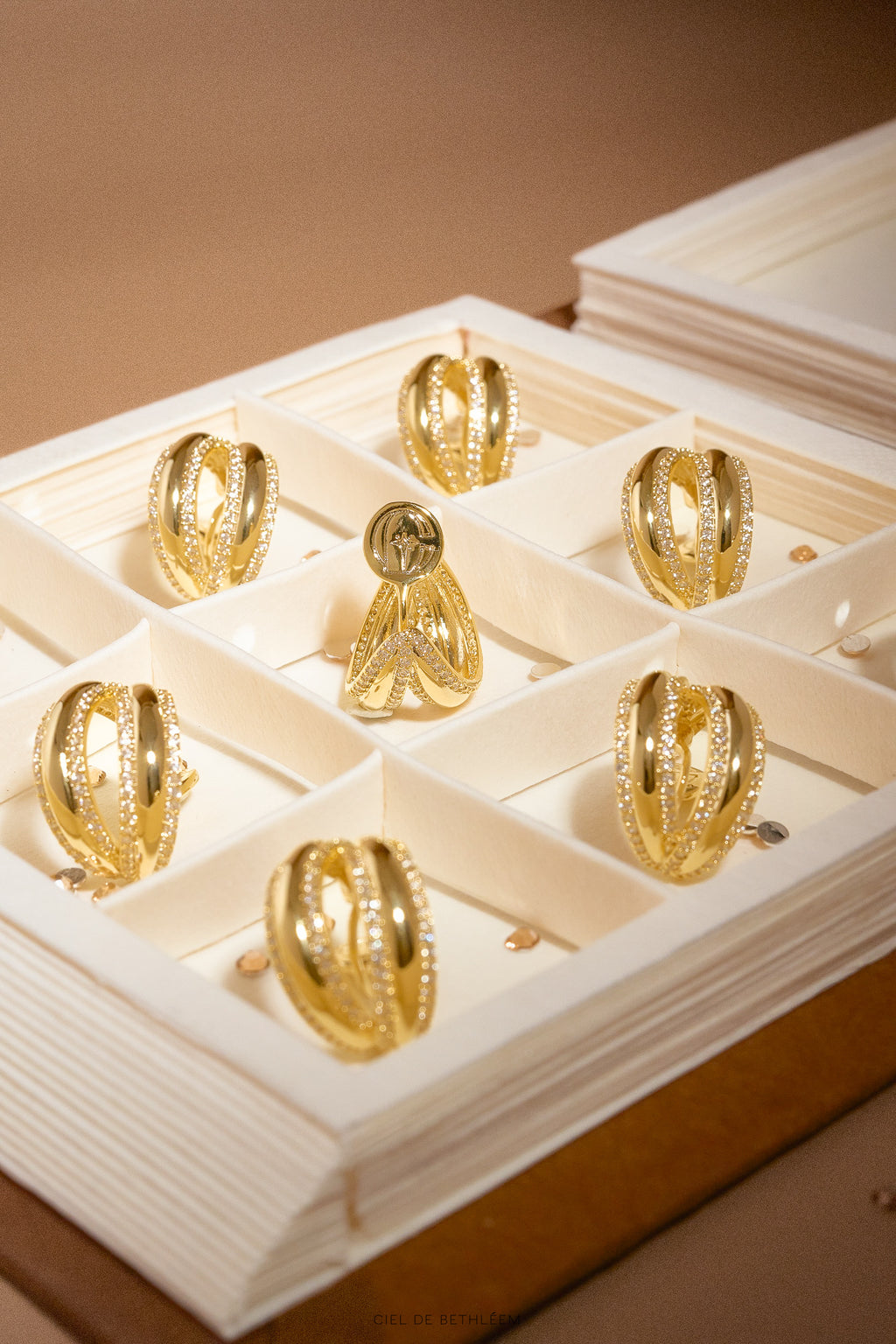 Crown of Conviction Clip-on Earrings