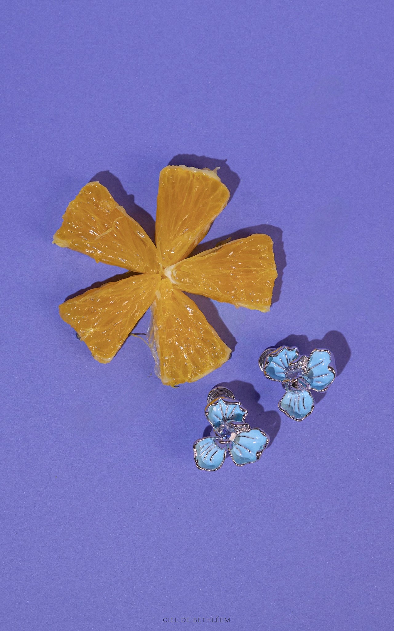 Peace Blue Flower