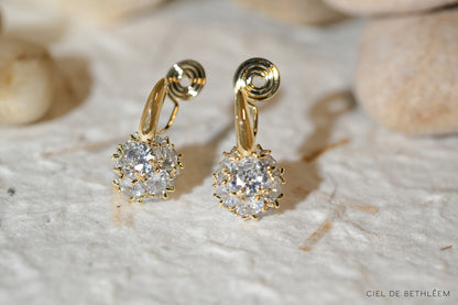 Dazzling Globe Earrings