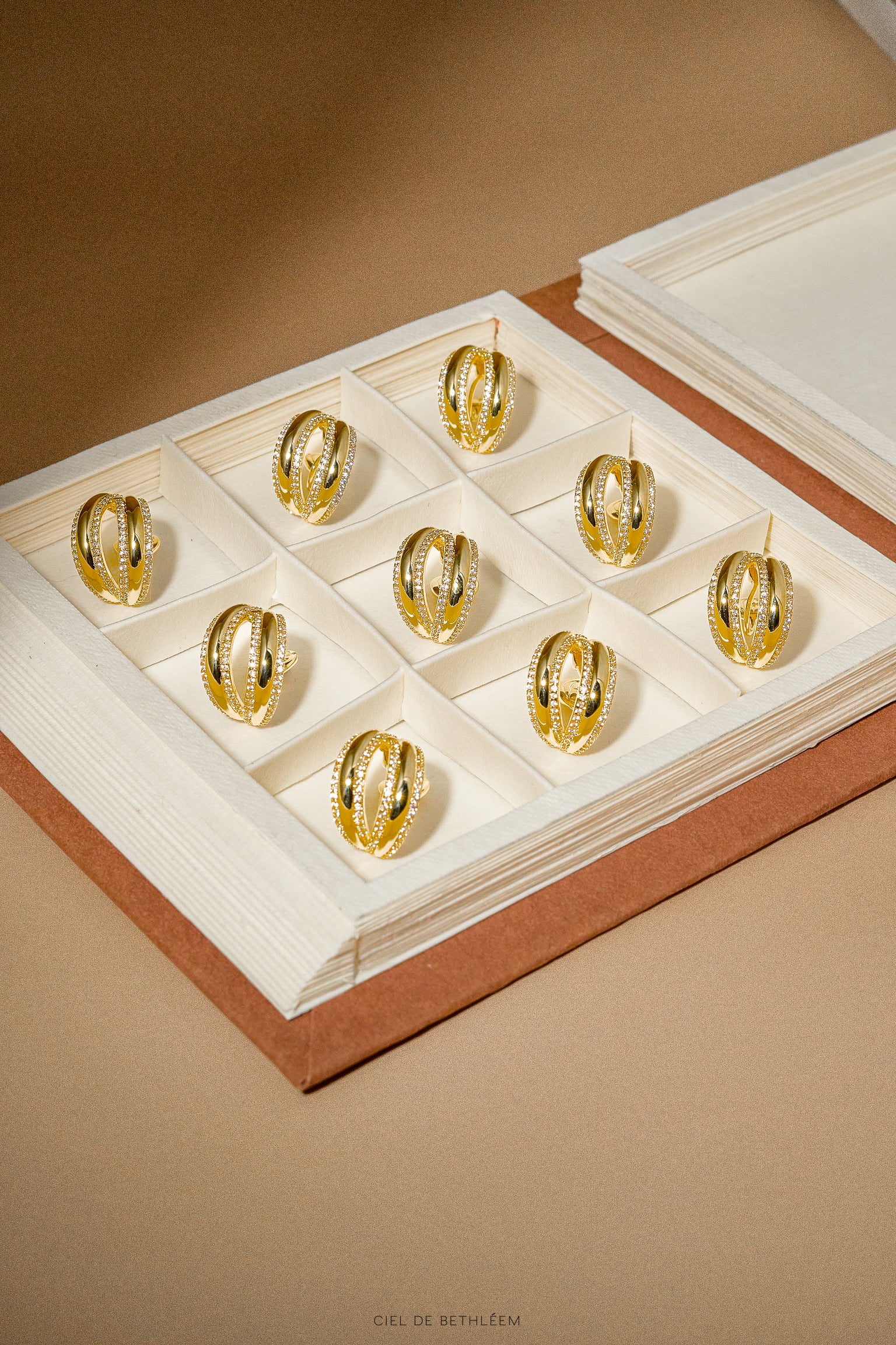 Crown of Conviction Clip-on Earrings