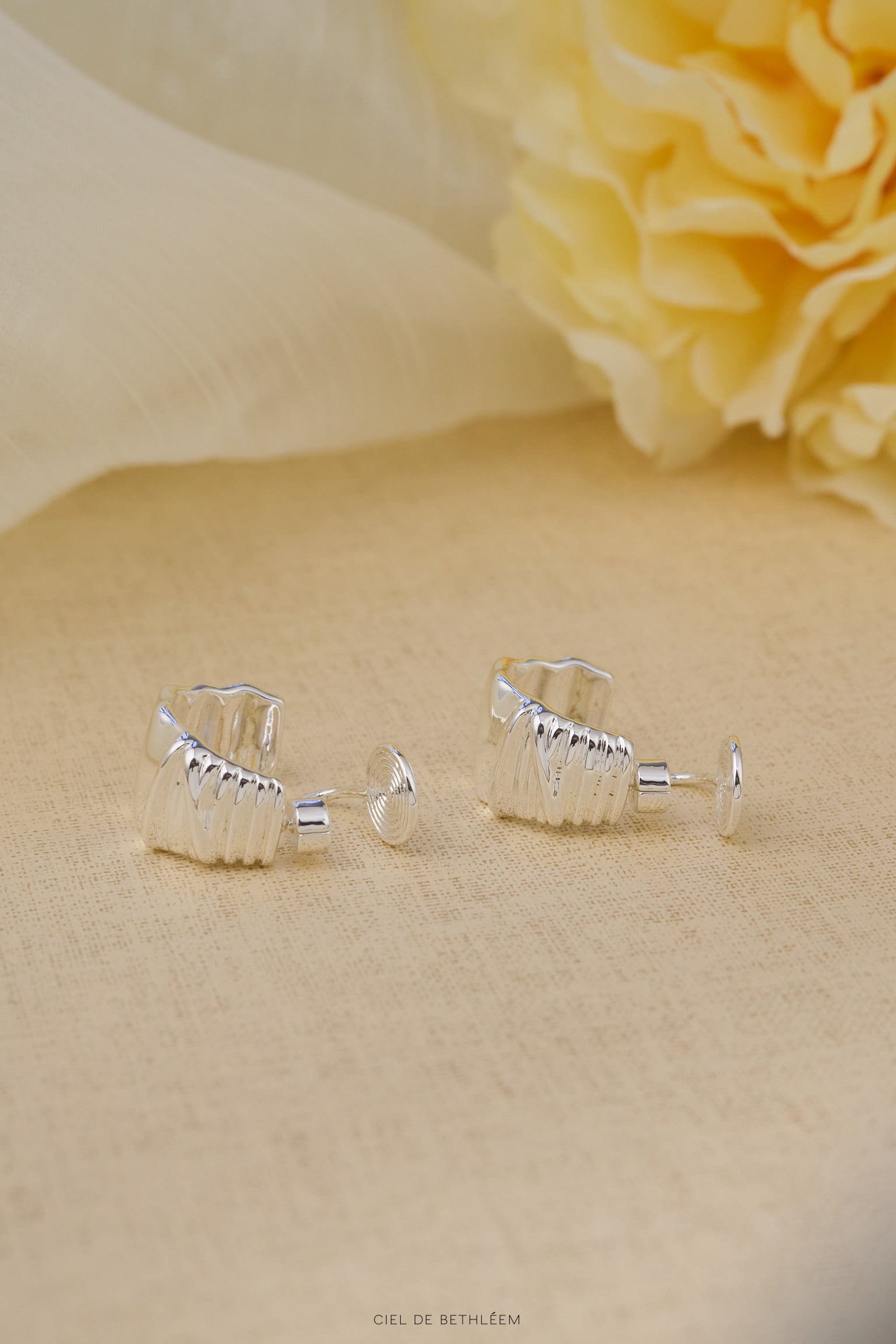 Swing Hoop Earrings