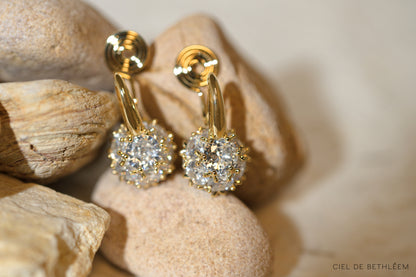 Dazzling Globe Earrings