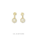 Dazzling Globe Earrings