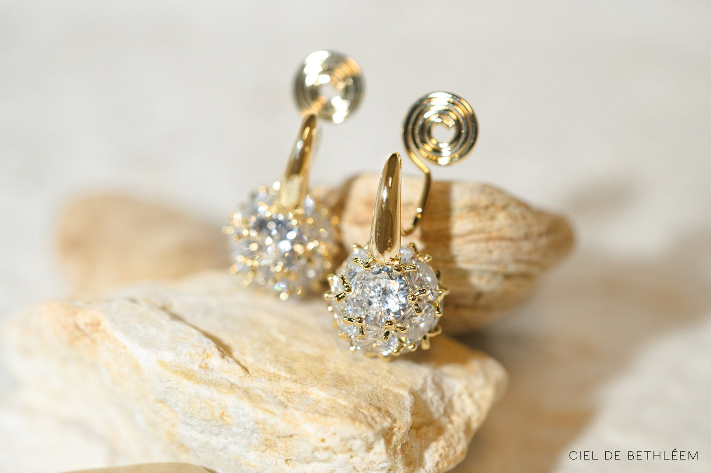 Dazzling Globe Earrings