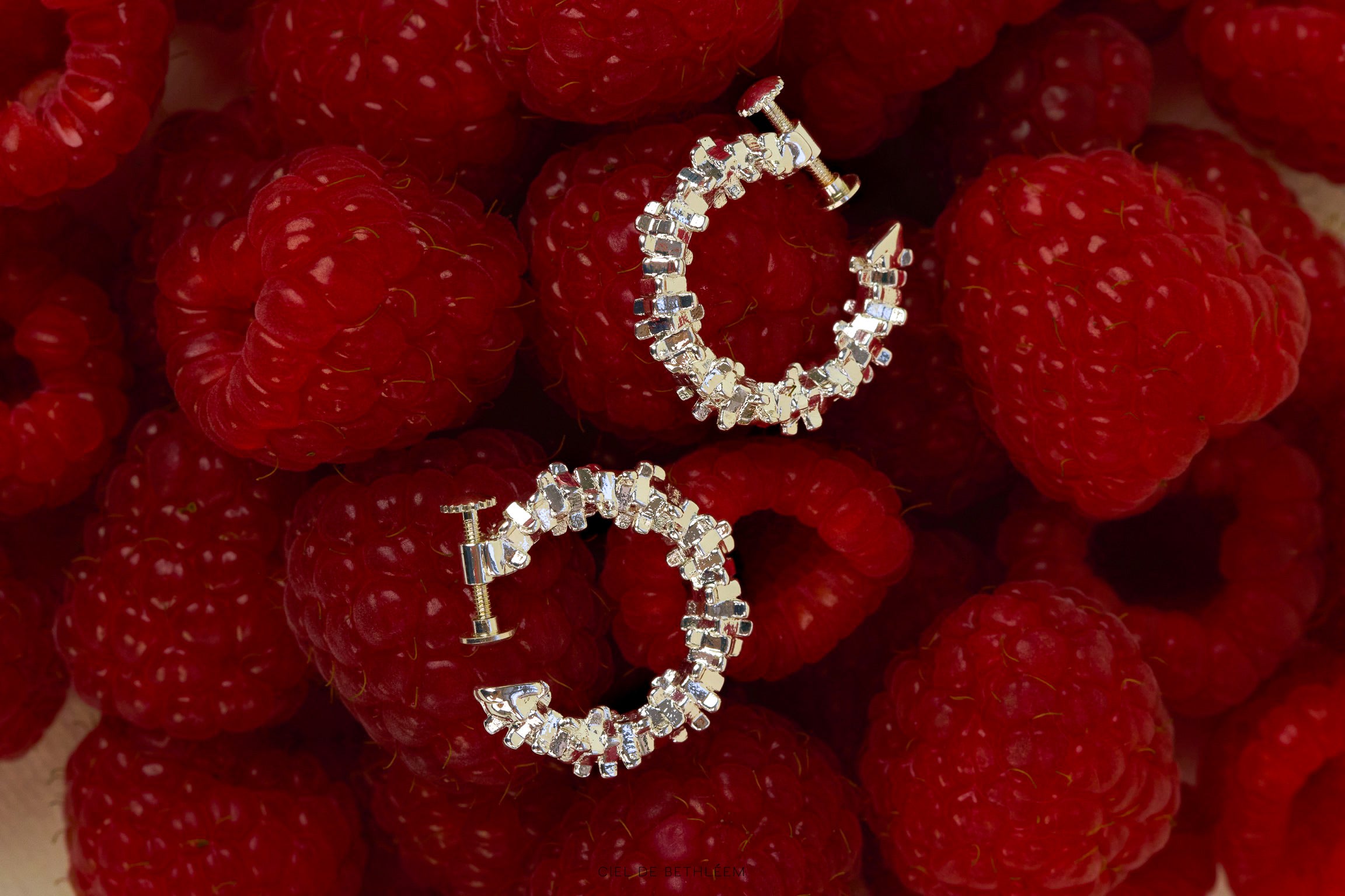 New Sprinkle Jagged Hoop