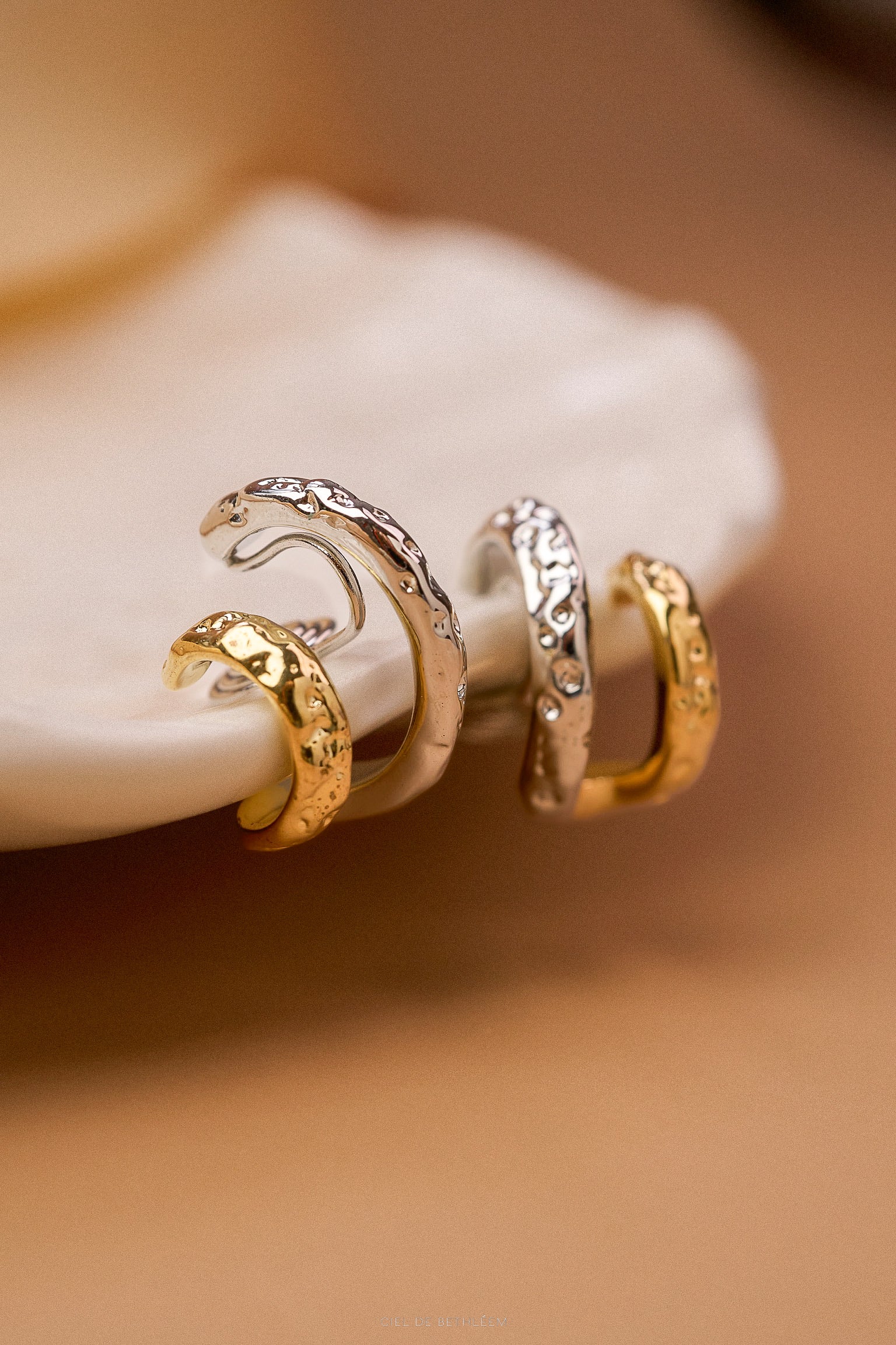 Two Tone Double Hoops