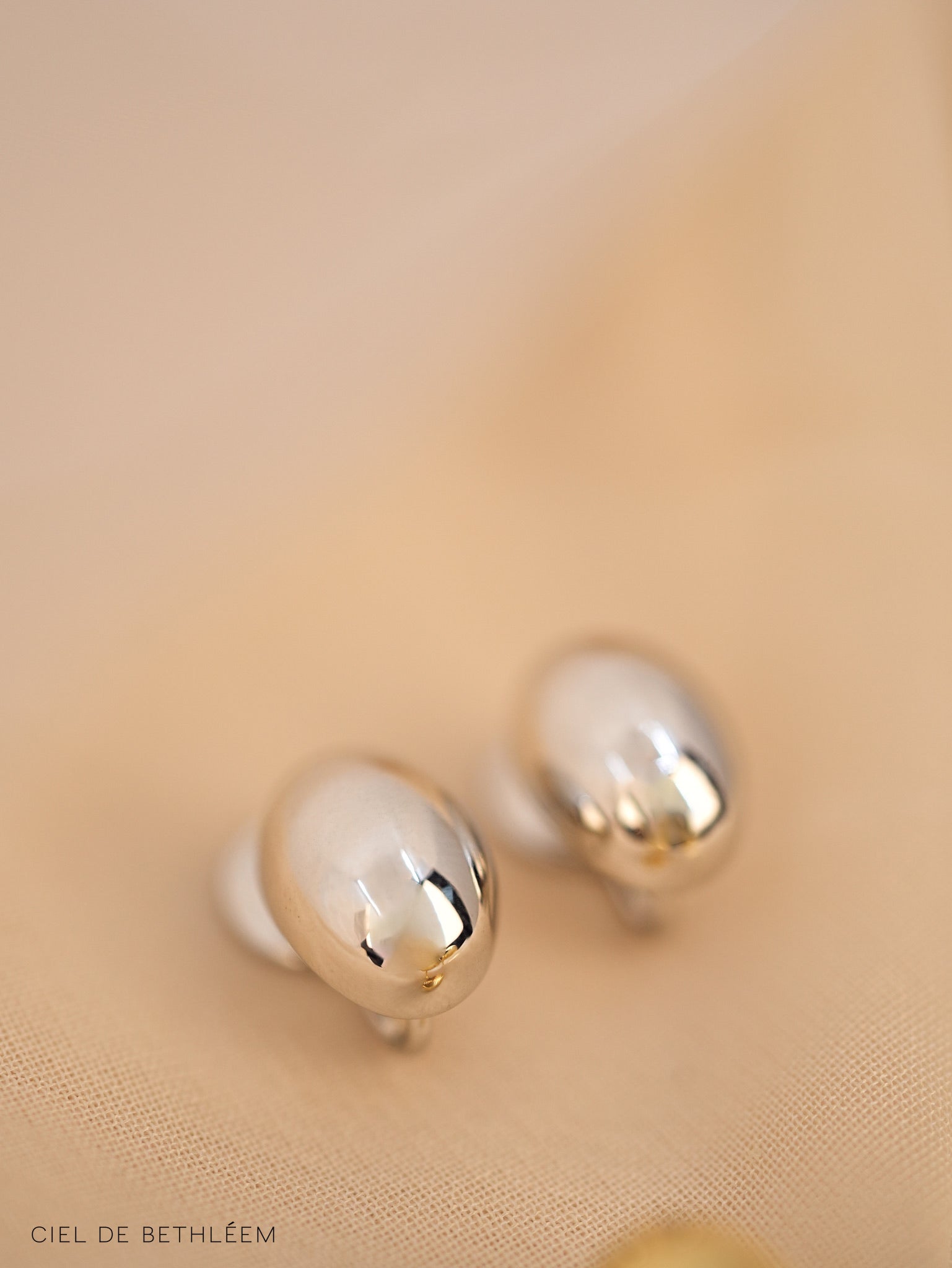 Daily Oval Earrings