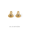 Vintage Seashell