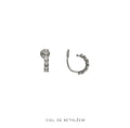 Sparkling Pave Hoop Earrings
