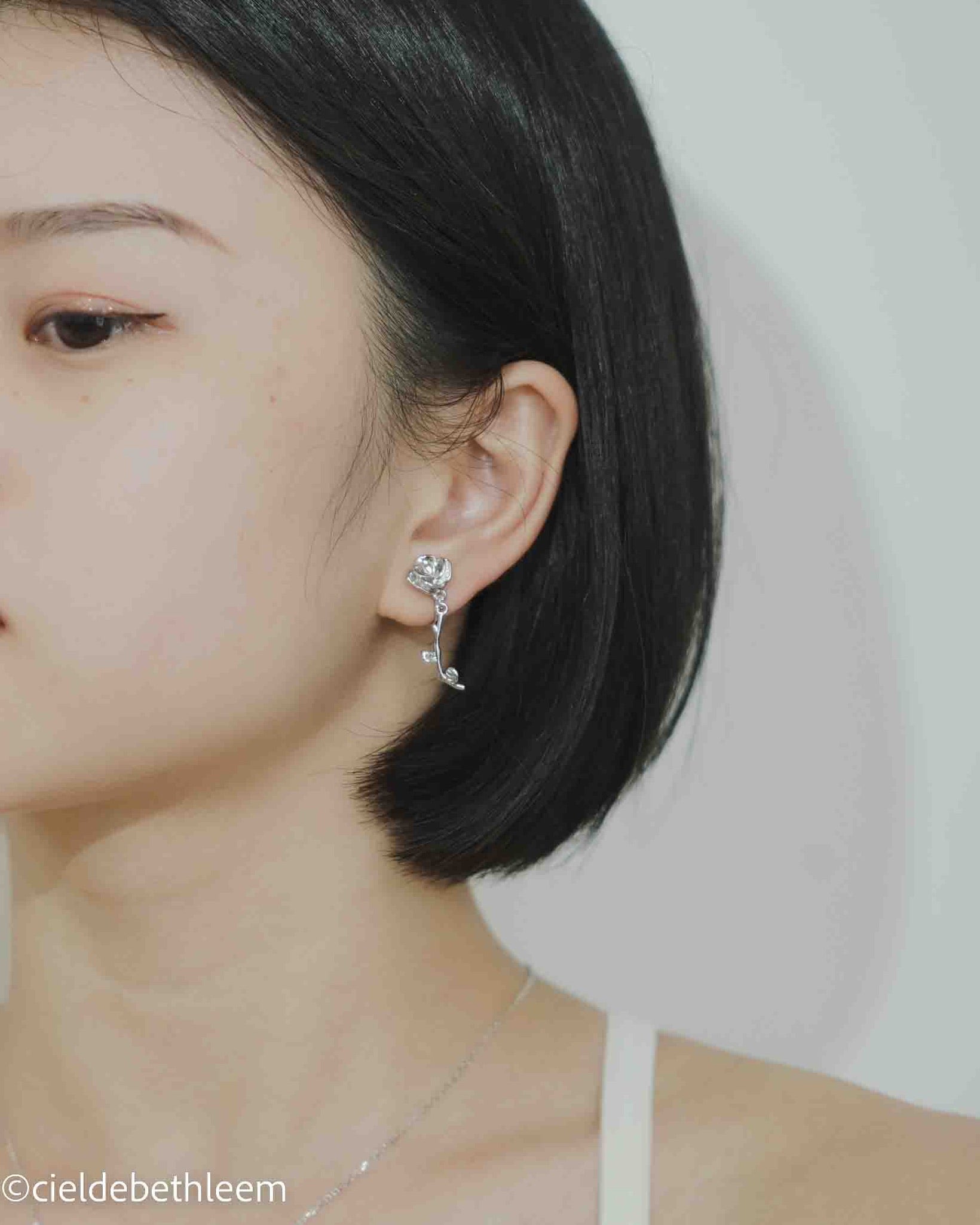 玫瑰送給你