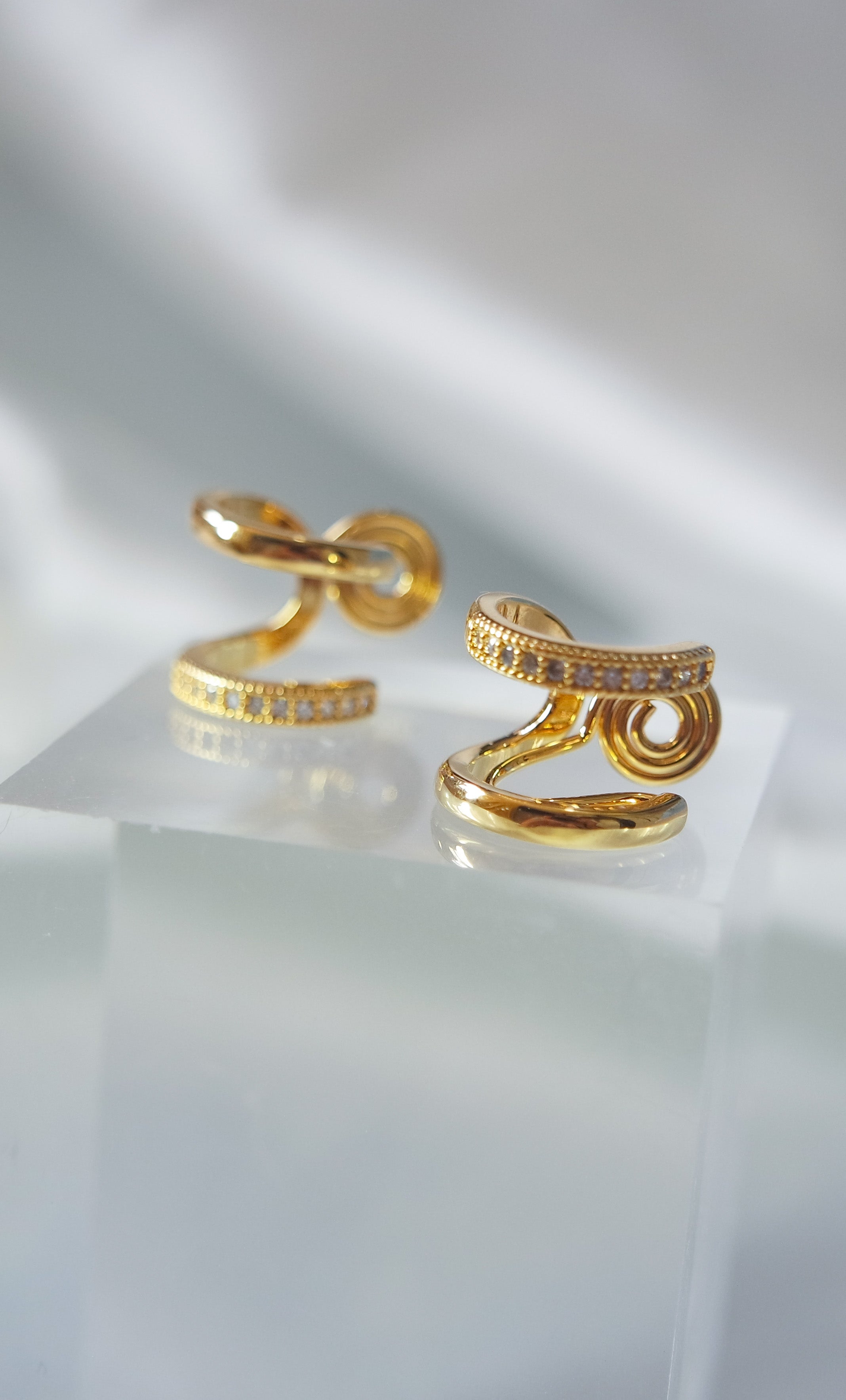 Double Hoop Earrings